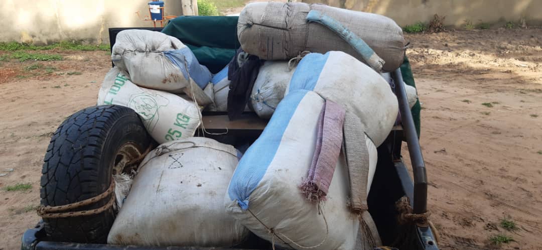 « PUNCH OPERATION » IN THE CENTER: A ton of prohibited products seized in Kaolack and Kaffrine